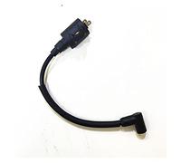 DEMULAX Bobina de encendido for motor de barco, for HIDEA, motor fueraborda de 2 tiempos, 2,5 HP, 2,5F, T2,5, 2,5F-01.03.01.00 Interruptor de encendido marino