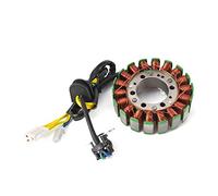 DEMULAX Generador de Encendido de Motocicleta, Bobina de estator Magneto GSX1300 Hayabusa 1999-2017 GSX 1300 BK B-King 1300 2008-2010 Bobina de Encendido para Motocicleta