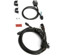 Denali Premium, mazo de cables male