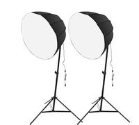 Denash Kit de 2 Juegos de Luces para Fotografía con Bombilla de Ahorro de Energía de 85 W, Brillo Ajustable en 3 Colores 1 100 Mediante Control Remoto, con Softbox de 12 Lados de (normativa Europea)