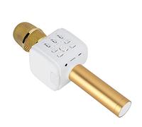 Denash Micrófono Portátil Portátil con un Micrófono para Teléfono para Fiestas de Reverbio Multifuncional Singing Mic 4.2 para Niños y Adultos Redgoldblackrose Gold (Gold)