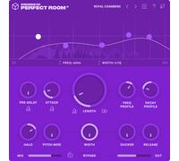 Denise Audio Perfect Room 2