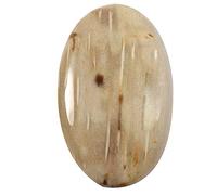 DENMOUS Cabujón ovalado de ágata de raíz de palma, piedra preciosa natural suelta, 36,6 quilates, Qy77-B09HMTV811