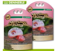 Dennerle 2x 45g Camarón Kingsnail Stixx Alimento Principal Süßwasserschnecke Con
