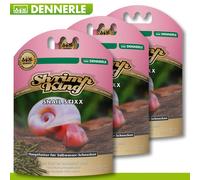 Dennerle 3x 45g Camarón Kingsnail Stixx Alimento Principal Süßwasserschnecke Con