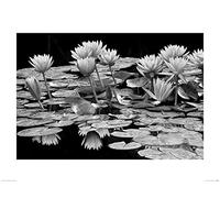 Dennis Frates Impresiones artísticas, Papel, Multicolor, 60 x 80 cm