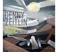 Denny Zeitlin - Wishing On the Moon