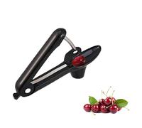 Denoyautor Cereza y Ciruela, Acero Cerezas Ciruelas Frutas Deshuesador Manual Multifuncional Hogar,Inoxidable Denoyautor Aceitunas Portátil Plástico Cocina para Fruta Deshuesadores (Negro)