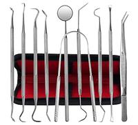 Dental Tools, 10 Pack Stainless Steel Plaque Remover Teeth Cleaning Tools Set, Oral Care Hygiene Kit with Meta Plaque Cleaner, Tartar Picks, Tooth, Tongue Scraper for Dentist, Personal, Family