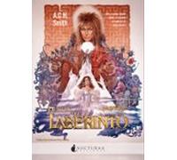 Dentro Del Laberinto