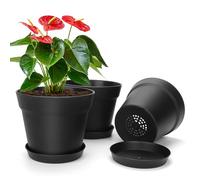 DENUOTOP Juego de 3 macetas negras con platillo, maceta para plantas de interior, 15 cm, maceta para flores, hierbas aromáticas, bonsái, orquídeas