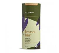 Deodorant Herbal Musk