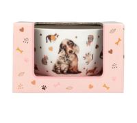 Depesche 13867 TOPModel Fur Ever Friends: Bol de Cereales en Blanco, con Motivos de Modelos, Perros, Gatos y Dorado, con la inscripción «Happy Day» en el Interior.