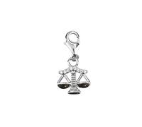 Depesche-Balance 11785-067 Charms Exprésate-Colgante para Collares y Pulseras, Escamas Plateadas, como pequeño Regalo, Multicolor, Normal