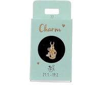 Depesche-Letras 11834-022 Colgante Acuario, Chapado en Oro, para Collares, Pulseras y Pendientes, Ideal como pequeño Regalo, Multicolor, Normal