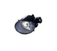 Depo 2901229 Faro Antiniebla, Antiniebla Delantero, H11 Izquierdo