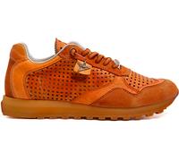 Cetti C848 V26 Ambar 40 EU