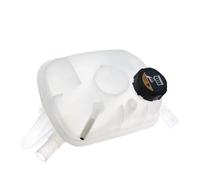 Deposito Expansion Agua Compatible Con Hyundai Para Veloster 2019 2020 Accesorios De Tanque Expansión Refrigerante Motor Coche 25430-F2400