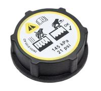 Depósito Refrigerante Radiador Tapa Tanque Agua Auxiliar Para Ford Para Fiesta Mk7 Para ECOSPORT BE8Z8A080A 8V218K218AB Depósito Expansión Refrigerante