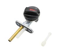 Depósitos de combustible para moto 2RH-24500-01 Interruptor de válvula de combustible y gas para motocicleta, grifo de purga, compatible con Yamaha TZR125 TZR 125 1987-1997 Grifo Gasolina de Moto