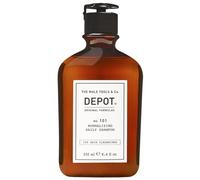Depot - Champú de Uso Diario no. 101 Normalizing Daily 250 ml