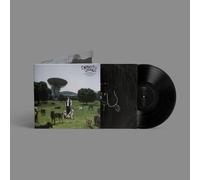 DEPRESION SONORA - LOS PERROS NO ENTIENDEN INTERNET [Vinilo]