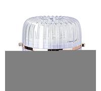 Depurador de cabello, Peine De Masaje Con Recipiente De Espuma, Cepillo de champú Masajeador de cuero cabelludo Exfoliante de cuero cabelludo, Ducha impermeable Depurador de cuero cabelludo Cyhamse