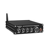 Depusheng DPA30 Amplificador Receptor de Audio estéreo 2.1 Canales Mini Hi-Fi Bluetooth 5.0 Amplificador de componentes de Audio 50 W x2+100 W para el hogar al Aire Libre Altavoz pasivo y subwoofer