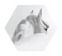 DEQORI Papel pintado autoadhesivo de pared hexagonal, 55 x 47,6 cm, diseño de caballo andaluz, lienzo textil, extraíble, decorativo y estable, para salón, oficina, pasillo o habitación infantil