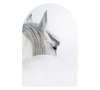 DEQORI Papel pintado autoadhesivo para pared, 120 x 180 cm, diseño de caballo andaluz, lienzo textil, extraíble, decorativo y estable, para salón, oficina, pasillo o habitación infantil