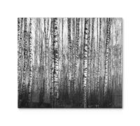 DEQORI Placa protectora de cristal de una pieza, 60 x 52 cm, diseño "belleza del bosque", placa de vitrocerámica para cocina, cubierta universal de cristal y tabla de cortar para placas de cocción