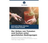 Der Anbau von Tomaten und Gurken unter geschützten Bedingungen: Geschützter Anbau von Tomaten (Solanum lycopersicum) und Gurken (Cucumis sativa) im Tal von Tulancingo, Hidalgo, Mexiko