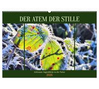 Der Atem der Stille - Achtsame Augenblicke in der Natur (Wandkalender 2026 DIN A2 quer), CALVENDO Monatskalender: Achtsamkeit in Bildern - Ein Kalender, der die Seele berührt