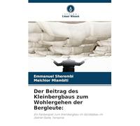 Der Beitrag des Kleinbergbaus zum Wohlergehen der Bergleute: Ein Fallbeispiel zum Kleinbergbau im Goldabbau im Distrikt Geita, Tansania