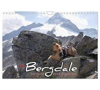 Der Bergdale - mit Hund im Hochgebirge (Wandkalender 2026 DIN A4 quer), CALVENDO Monatskalender: Ein Airedale Terrier als Bergbegleithund