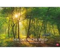 Der deutsche Wald - Ein literarischer Spaziergang Kalender 2027 - Ein literarischer Spaziergang: Inspirierende Fotos deutscher Wälder mit Zitaten bekannter Klassiker. Großer Wandkalender 2027.