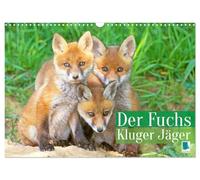Der Fuchs: Kluger Jäger (Wandkalender 2026 DIN A3 quer), CALVENDO Monatskalender: Beeindruckende Naturfotografien aus dem Leben der Füchse