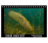 Der Hecht - Tauchen Sie ab mit Daniel Hohlfeld (Tischkalender 2026 DIN A5 quer), CALVENDO Monatskalender: Tauchen Sie ab und erleben einen ganz besonderen Räuber.