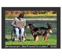 Der Hovawart... Dein Freund fürs Leben ! (Tischkalender 2026 DIN A5 quer), CALVENDO Monatskalender: Wandkalender, Monatskalender, 14 Seiten