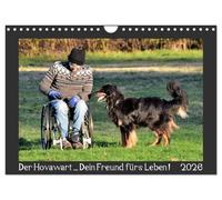 Der Hovawart... Dein Freund fürs Leben ! (Wandkalender 2026 DIN A4 quer), CALVENDO Monatskalender: Wandkalender, Monatskalender, 14 Seiten