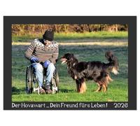Der Hovawart... Dein Freund fürs Leben ! (Wandkalender 2026 DIN A4 quer), CALVENDO Monatskalender: Wandkalender, Monatskalender, 14 Seiten