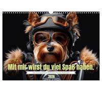 Der humoristische Yorkshire Terrier Kalender (Wandkalender 2026 DIN A3 quer), CALVENDO Monatskalender: Das ideale Geschenk für Yorkshire Terrier ... um den Hundebesitzer glücklich zu machen.
