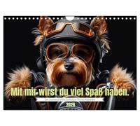 Der humoristische Yorkshire Terrier Kalender (Wandkalender 2026 DIN A4 quer), CALVENDO Monatskalender: Das ideale Geschenk für Yorkshire Terrier ... um den Hundebesitzer glücklich zu machen.