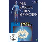 Der Körper des Menschen 6 [Alemania] [DVD]