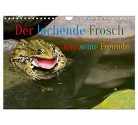 Der lachende Frosch und seine Freunde (Wandkalender 2026 DIN A4 quer), CALVENDO Monatskalender: Da musste ich auch lachen und hab fast die Kamera fallen lassen.