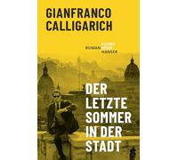 Der letzte Sommer in der Stadt: Roman