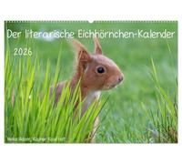 Der literarische Eichhörnchen-Kalender (Wandkalender 2026 DIN A2 quer), CALVENDO Monatskalender: Positive Sprüche mit passenden Fotos von Eichhörnchen.