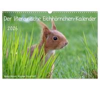 Der literarische Eichhörnchen-Kalender (Wandkalender 2026 DIN A3 quer), CALVENDO Monatskalender: Positive Sprüche mit passenden Fotos von Eichhörnchen.