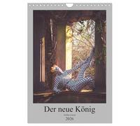 Der neue König (Wandkalender 2026 DIN A4 hoch), CALVENDO Monatskalender: Der Ganzkörperanzug istaus einem dünnen Stoff der auch Kopf und Hände umfasst.