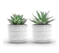 Der Rose Juego de 2 plantas suculentas artificiales de cactus para sala de estar, baño, dormitorio, decoración estética del hogar